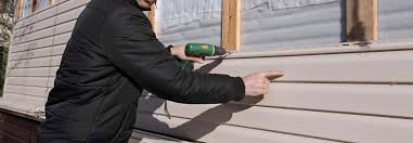 Best Siding Removal and Disposal  in Lake Elsinore, CA